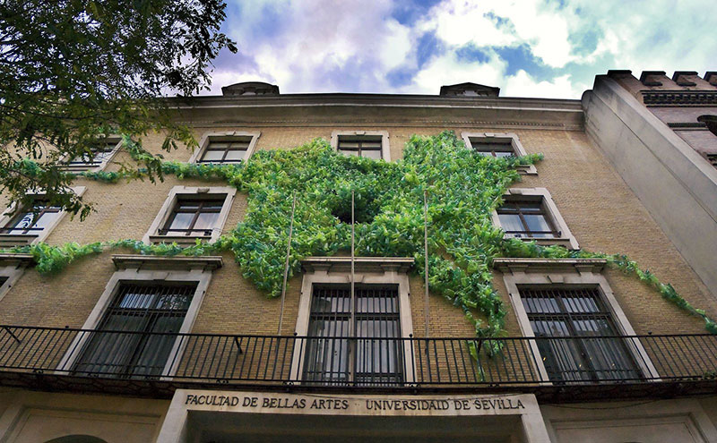 facultad de bellas artes