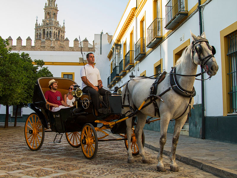 maneras de visitar sevilla en coche de caballos