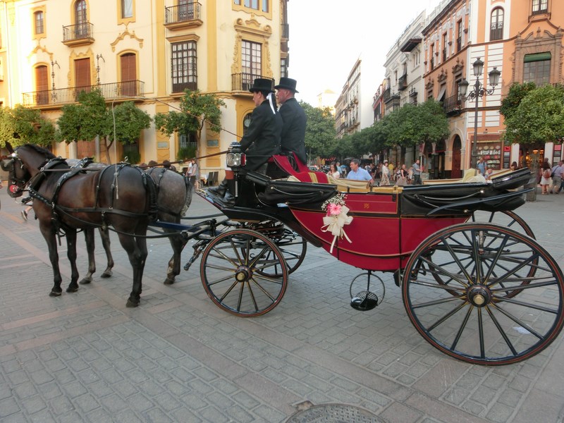 Carruajes de caballos en sevilla. Alquiler para eventos.