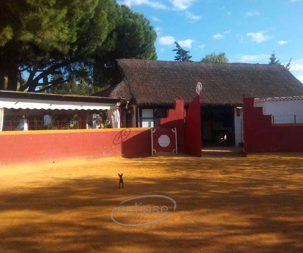 plaza de toros